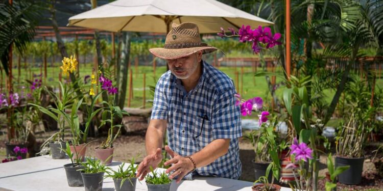 INVITAN A RECIBIR EQUINOCCIO DE PRIMAVERA ENTRE ORQUIDEAS