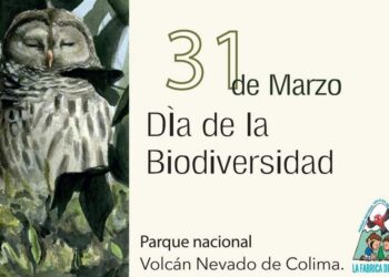 PARQUE NACIONAL NEVADO DE COLIMA CELEBRA LA BIODIVERSIDAD