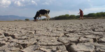 COLIMA EN SEQUÍA SEVERA