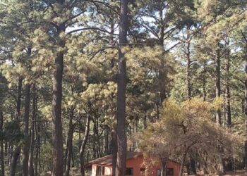 CONTINÚAN LOS TRABAJOS DE ORDENAMIENTO ECOLÓGICO Y TERRITORIAL DE TAPALPA