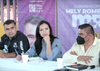 INDIRA ELIMINARÁ INSTITUCIONES Y PRESUPUESTOS, DICE MELY