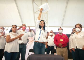 MELY REVISARÁ LA LEY DE PENSIONES