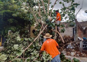 CONTINÚAN LOS TRABAJOS DE REHABILITACIÓN TRAS EL PASO DE “DOLORES”, EN COLIMA