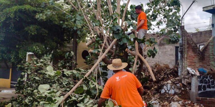 CONTINÚAN LOS TRABAJOS DE REHABILITACIÓN TRAS EL PASO DE “DOLORES”, EN COLIMA