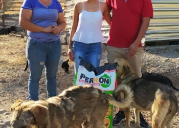 URGE FRENAR EL MALTRATO ANIMAL