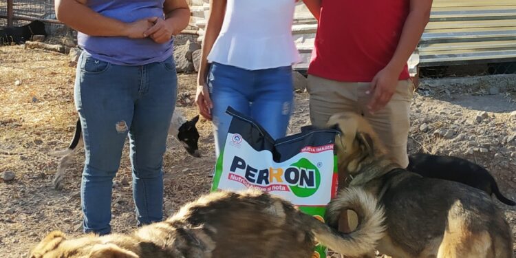 URGE FRENAR EL MALTRATO ANIMAL