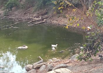 DEMANDAN VECINOS DE VILLAS DE ORO MÁS ATENCIÓN AL TOPOCHARCO