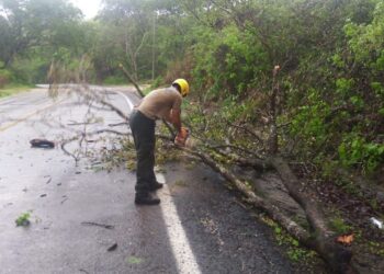 “ENRIQUE” DEJA DAÑOS MATERIALES EN JALISCO; ANUNCIAN SALDO BLANCO, TRAS EL PASO DEL HURACÁN