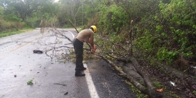 “ENRIQUE” DEJA DAÑOS MATERIALES EN JALISCO; ANUNCIAN SALDO BLANCO, TRAS EL PASO DEL HURACÁN