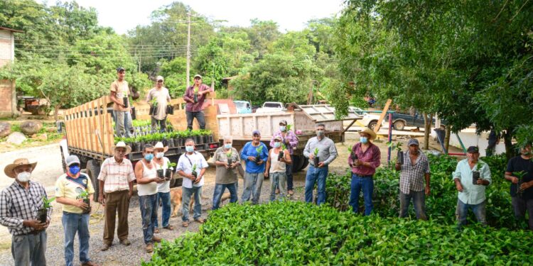 PEÑA COLORADA IMPULSA DOS PROYECTOS PRODUCTIVOS AUTOSUSTENTABLES EN EL ARRAYANAL