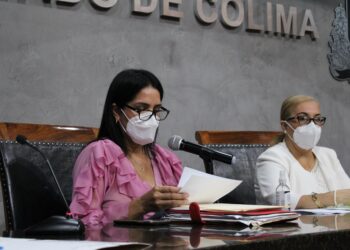 LA PANDEMIA Y LA CAÍDA DE INGRESOS GENERARON FALTA DE LIQUIDEZ: MARINA NIETO