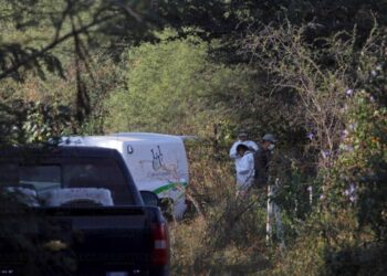 Encuentran fosas clandestinas en Juluapan VdeA