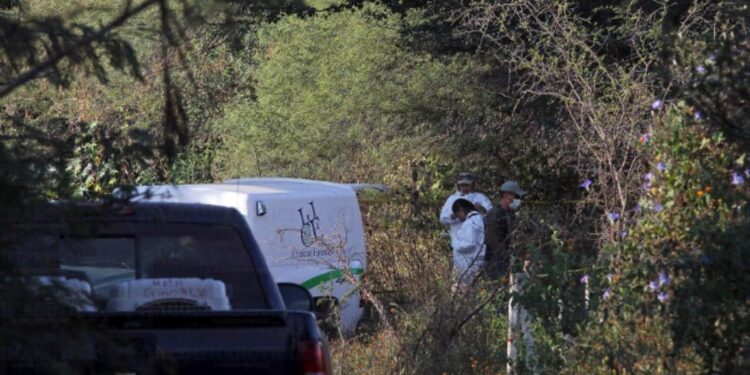 Encuentran fosas clandestinas en Juluapan VdeA