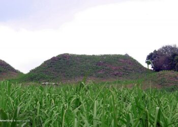 HALLAZGO DE EDIFICIOS PREHISPÁNICOS EN QUESERÍA; LOS MÁS ALTOS EN COLIMA