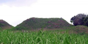 HALLAZGO DE EDIFICIOS PREHISPÁNICOS EN QUESERÍA; LOS MÁS ALTOS EN COLIMA