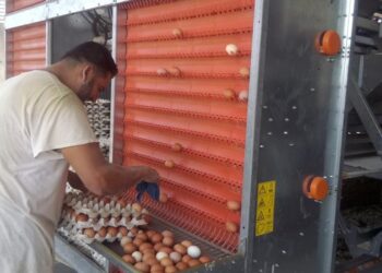 ALERTAN POR CASOS DE GRIPE AVIAR EN VARIOS ESTADOS DEL PAÍS