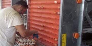 ALERTAN POR CASOS DE GRIPE AVIAR EN VARIOS ESTADOS DEL PAÍS