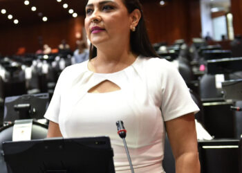 EN COLIMA FALTA DIRIGIR EL GASTO PÚBLICO EN OBRAS: JULIA JIMÉNEZ￼
