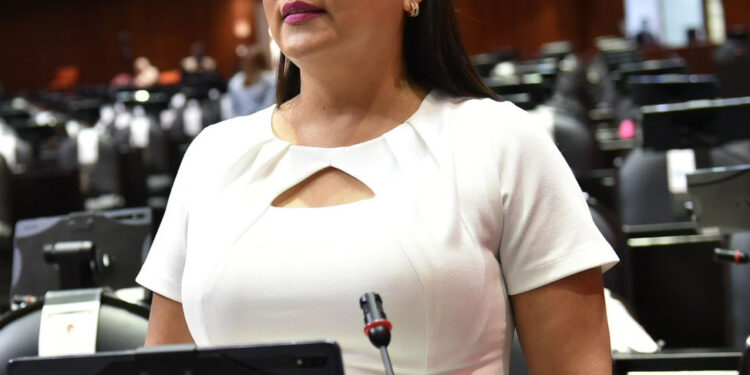 EN COLIMA FALTA DIRIGIR EL GASTO PÚBLICO EN OBRAS: JULIA JIMÉNEZ