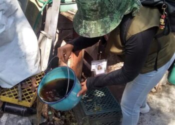 MÁS DE LA MITAD DE LOS CASOS DE DENGUE EN COLIMA CORRESPONDEN A INFANTES Y JÓVENES