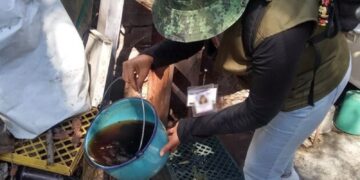 MÁS DE LA MITAD DE LOS CASOS DE DENGUE EN COLIMA CORRESPONDEN A INFANTES Y JÓVENES