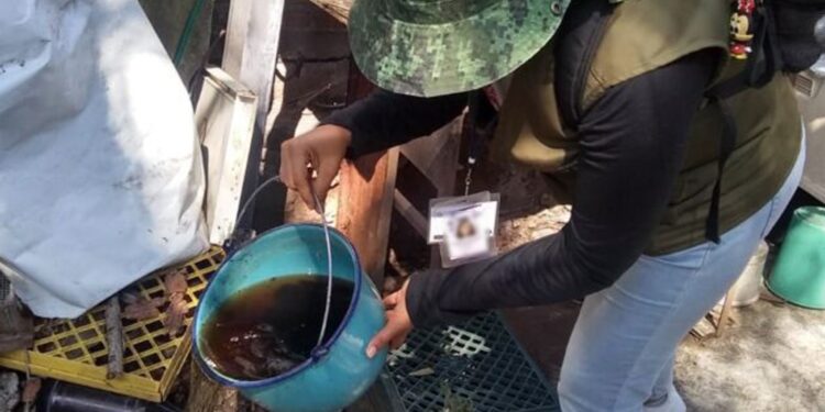 MÁS DE LA MITAD DE LOS CASOS DE DENGUE EN COLIMA CORRESPONDEN A INFANTES Y JÓVENES