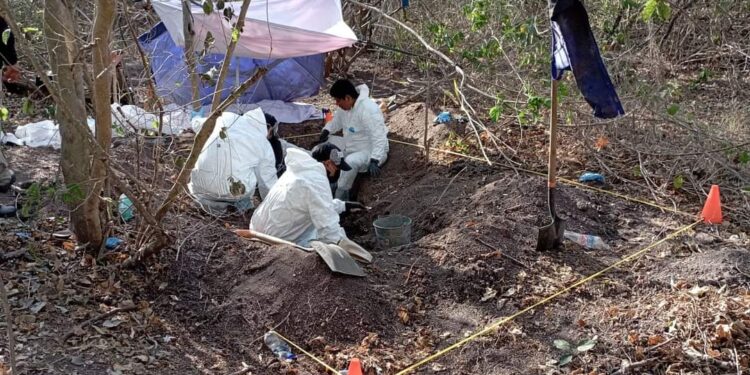 LOCALIZAN 26 CUERPOS EN 10 FOSAS CLANDESTINAS, EN CERRO DE ORTEGA, TECOMÁN