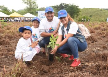 PEÑA COLORADA INICIA REFORESTACIÓN DE 200 HECTÁREAS EN MANZANILLO