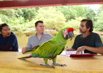 PEÑA COLORADA MEJORARÁ LAS CONDICIONES DE LA FAUNA SILVESTRE DEL PALAPO
