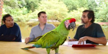 PEÑA COLORADA MEJORARÁ LAS CONDICIONES DE LA FAUNA SILVESTRE DEL PALAPO