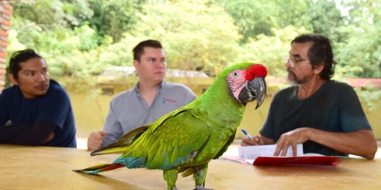 PEÑA COLORADA MEJORARÁ LAS CONDICIONES DE LA FAUNA SILVESTRE DEL PALAPO