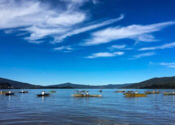 PREVÉN DESAPARICIÓN DEL LAGO DE PÁTZCUARO EN EL 2030 ANTE LA FALTA DE UNA REMEDIACIÓN EFECTIVA