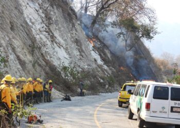 PEÑA COLORADA SE SUMA A COMBATE DE INCENDIO EN ANP DE CANOAS