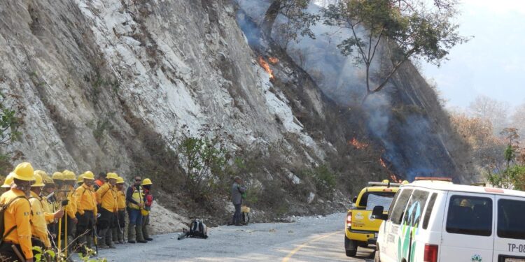 PEÑA COLORADA SE SUMA A COMBATE DE INCENDIO EN ANP DE CANOAS
