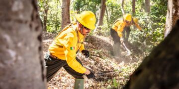 BRIGADISTAS DE PEÑA COLORADA Y CONAFOR LOGRAN CONTROLAR INCENDIO EN CANOAS – MANANTLÁN