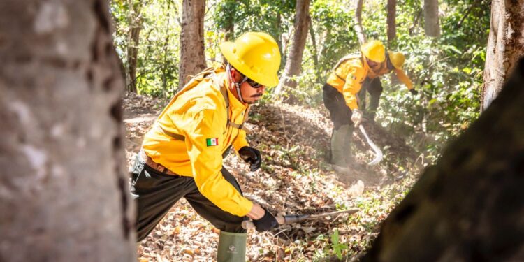 BRIGADISTAS DE PEÑA COLORADA Y CONAFOR LOGRAN CONTROLAR INCENDIO EN CANOAS – MANANTLÁN