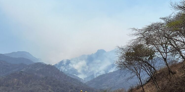 PEÑA COLORADA SE SUMA AL COMBATE DEL INCENDIO EN “LA GLORIA”