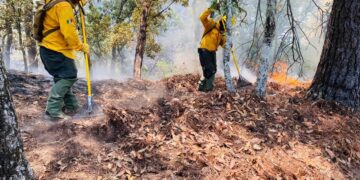 AVANZA CONTROL DE INCENDIO EN LA GLORIA