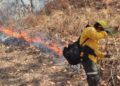 REPORTAN AVANCE DEL 70% EN EL CONTROL DE INCENDIOS FORESTALES EN COLIMA