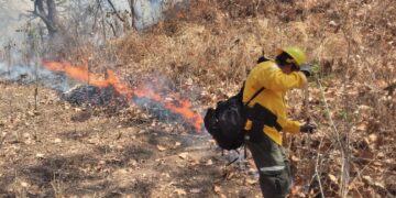 REPORTAN AVANCE DEL 70% EN EL CONTROL DE INCENDIOS FORESTALES EN COLIMA